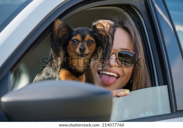 Woman and dog in car on summer travel. Funny\
dog traveling. Vacation with pet\
concept.
