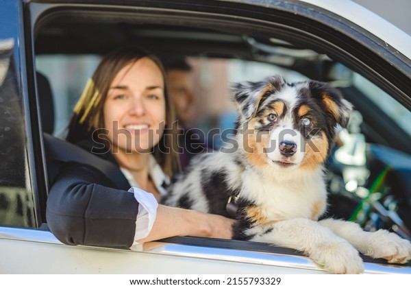 A Woman and dog in car on summer travel. Funny\
dog Vacation with pet\
concept.