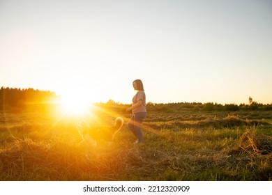 Woman and dog. Girl and her dog friend on background of straw field. Beautiful woman is relaxed and carefree enjoying summer sunset with her lovely dog - Shutterstock ID 2212320909