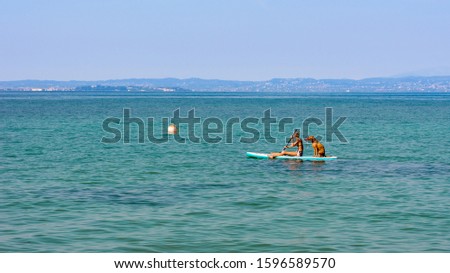 A woman and a dog going to the sea on a sup board