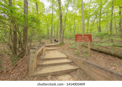 Woman With Dog Hiking A Trail At Amicalola Falls State Park