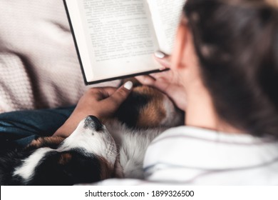 Woman And Dog Lifestyle Image. Bernese Mountain Dog Is Sleeping In His Arms.