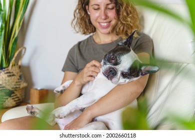 Woman Dog Lover With Bulldog At Home. Horizontal View Of Woman Tickling Dog With Plants Indoors