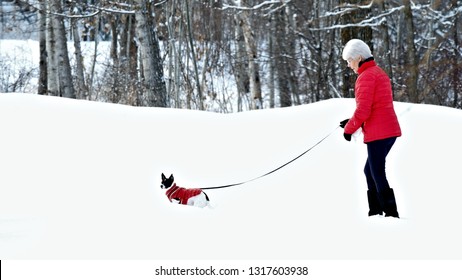 Woman And Dog In Matching Red Jackets Walking In Snow After Winter Storm In Minnesota.