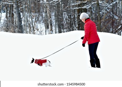 Woman And Dog In Matching Red Jackets Walking In Snow After Winter Storm In Minnesota.