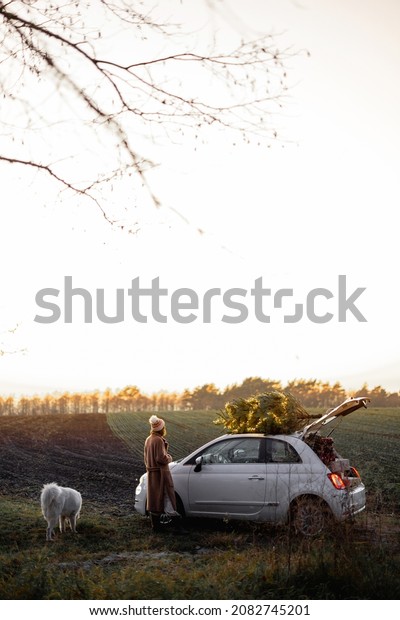 Woman and dog near car with illuminated\
christmas tree on a rooftop on nature at dusk. Wide landscape with\
copy space on sky. Concept of New Year\'s mood. Idea of holiday\
cover or background