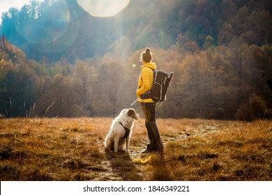 woman and dog outdoors in autumn sunrise social distancing - Shutterstock ID 1846349221