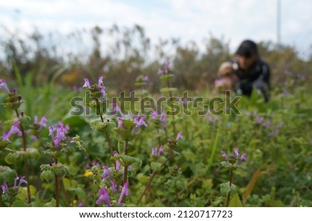 A woman and a dog playing in nature