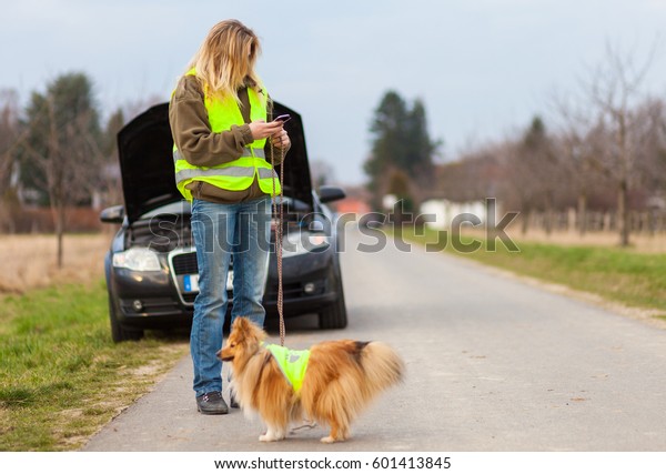 woman and a dog with reflective vest stands on a\
broken car