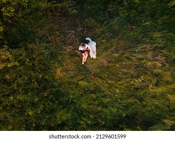 A woman and a dog sitting on the green grass. Aerial view. - Powered by Shutterstock