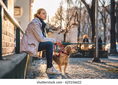 Woman With A Dog Sitting On A Green Fence