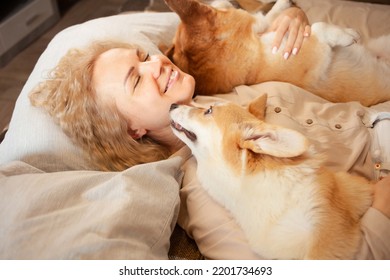 Woman And Dogs Lie On Bed, Family, Smiling. Relax, Spend Time Together, Enjoy And Have Fun. Lifestyle, Everyday Life. Kisses