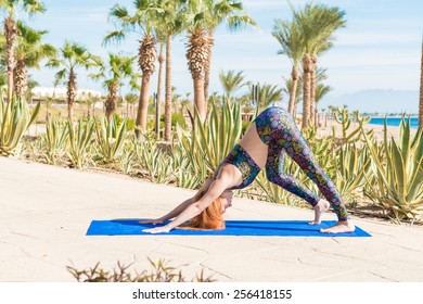 Woman Doing Down Dog Yoga Asana At The Beach