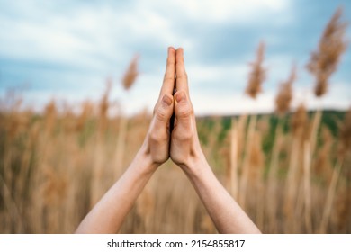 Woman Doing Namaste Yoga Mudra On Reed Natural Background. Healthy Girl Training At Summer Outdoors. Gratitude, Unity With Nature, Peace And Love Concept.