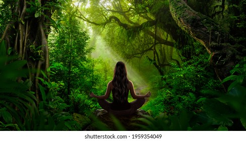 Woman Doing Yoga And Meditation In The Jungle