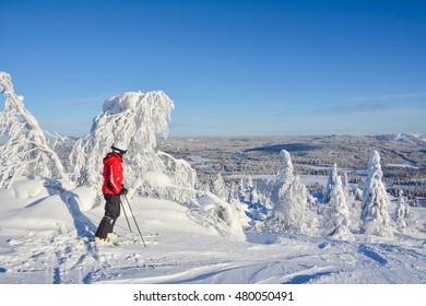 Woman Downhill Skiing In Lapland Finland