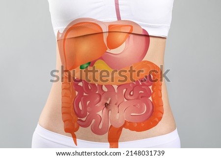 Woman with drawn digestive system on light background, closeup
