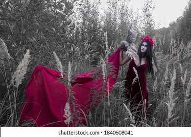 Woman In Dress And Make-up For Halloween In The Forest. On The Shoulder Of A Woman Is A Night Owl.