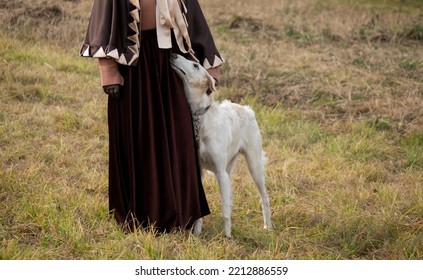 A Woman Dressed In A Historical Costume, With An Afghan Greyhound. The Dog And The Owner Are Walking In The Autumn Park.