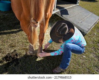 Woman Dressed In Western Wear Fitting A Skid Boot To A Horse’s Rear Leg