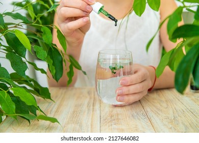 Woman Dripping Chlorophyll Supplement Into A Glass Of Water. Selective Focus. Drink.