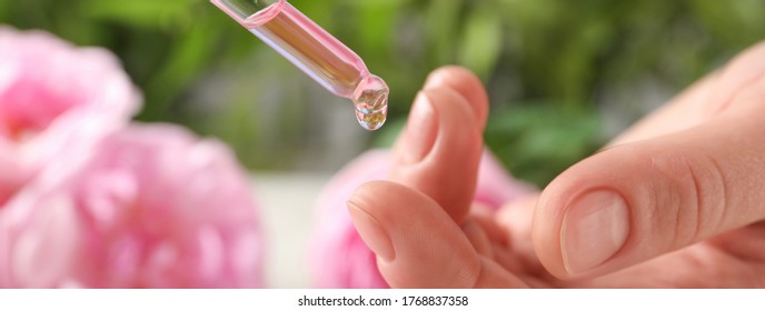 Woman Dripping Rose Essential Oil On Finger, Closeup. Banner Design