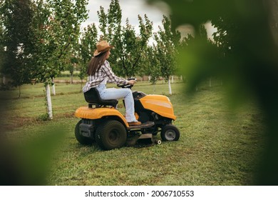 Woman Driving Lawn Mower In Orchard