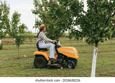 Woman Driving Lawn Mower In Orchard