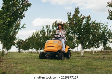 Woman Driving Lawn Mower In Orchard