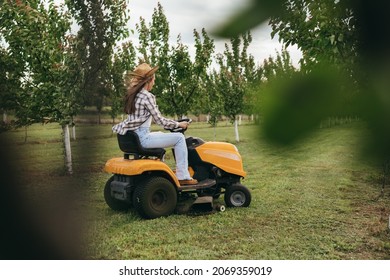 Woman Driving Lawn Mower In Orchard