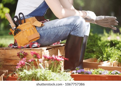 Woman In Dungarees And A Tool Belt, Sitting On A Wooden Palette And Putting On Gloves