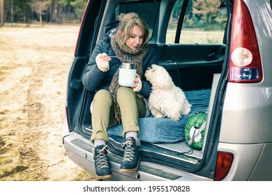 Frau, die während einer Straßenreise aus einer Thermoskanne ein heißes Gericht isst, auf einem kleinen Camper mit Hund sitzt, Wald im Hintergrund