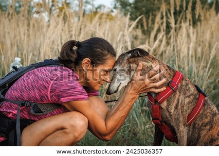 Woman is embracing her old dog with love. Pet owner and Spanish greyhound