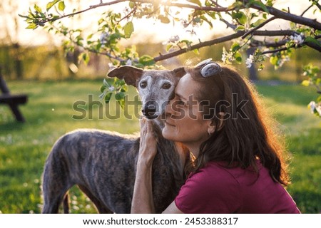 Woman is embracing her old dog with love. Pet owner and Spanish greyhound together outdoors. Friendship between people and animal