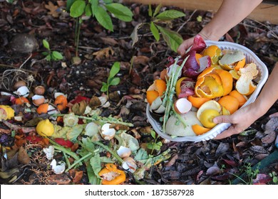 Woman Emptying Kitchen Waste On To A Compost Pile With Layers Of Organic Matter And Soil