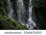 Woman enjoy huge green tropical watefall. Active travel with hiking