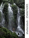 Woman enjoy huge green tropical watefall. Active travel with hiking