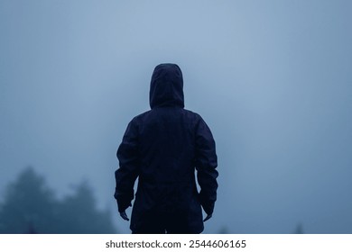 Woman enjoy the rainy forest in summer high altitude mountains - Powered by Shutterstock