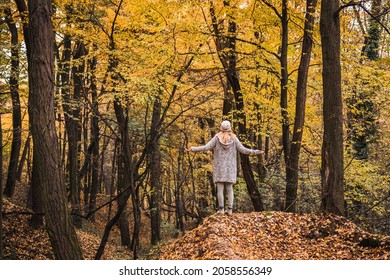 Woman enjoying fresh air and feeling positive energy in autumn forest. Getting away from it all. Digital detox in nature - Shutterstock ID 2058556349