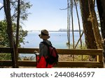 Woman enjoying the view of Auckland Harbour Bridge and Sky Tower from Kauri Point Centennial loop track. Auckland. 