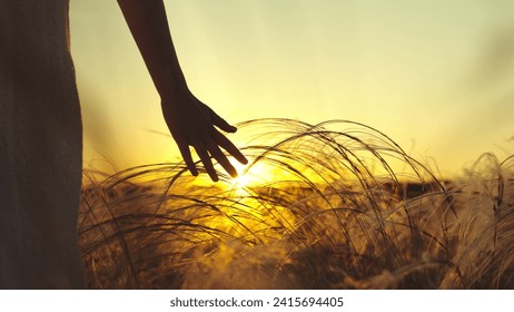 Woman examines land before buying plot to build cosy house for family. Woman calms down in field after stressful events in life trying to find peace. Woman walks in field known since childhood - Powered by Shutterstock