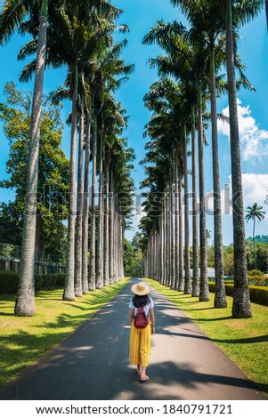 Woman exploring palm alley at Royal Botanical Gardens in Kandy Sri Lanka. Asian tropical landscape travel scenery