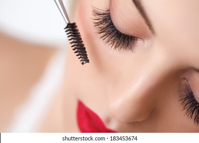 Woman eye with beautiful makeup and long eyelashes. Mascara Brush. High quality image. - Powered by Shutterstock