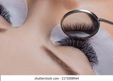 Woman eye with beauty lashes. Eyelash extension procedure.