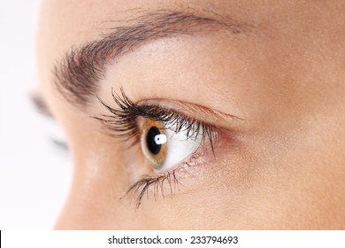 Woman Eye. Closeup Of Woman's Eye 