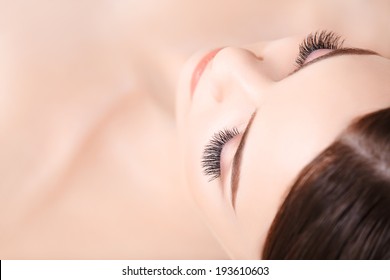 Woman Eye With Long Eyelashes. Eyelash Extension