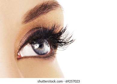 Woman Eye With Long Eyelashes. Space For Text.