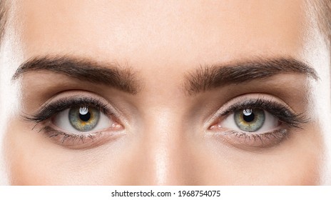 Woman Eyes Close Up. Natural Beauty Eye Eyebrow Make Up. Open Eyes Looking At Camera