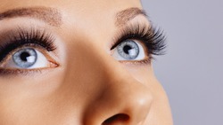 Woman Eyes With Long Eyelashes And Smokey Eyes Make-up. Eyelash Extensions, Makeup, Cosmetics, Beauty. Close Up, Macro