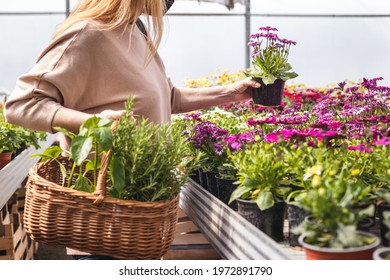 Woman With Face Mask Shopping Flowers And Plant Seedling In Garden Center At Spring